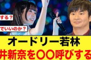 オードリー若林さん、坂井新奈の呼び方が〇〇で決定か【日向坂46】