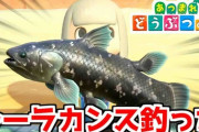 シーラカンスが絶滅しなかったのはマズかったから？　『あつ森』きっかけに生態学に興味を持つ人増