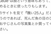 『フランスに人種差別は存在しない』ひろゆきさん、ヤフコメTwitterからボコボコにされる