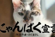 ACの猫はちゃんと飼いましょうみたいなCM
