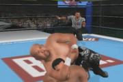 日本のプロレスのゲームってあんま無いよな