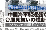 【画像】中国海軍駆逐艦、台風のお見舞い横断幕を掲げる→ネトウヨ「ありがとう中国。さすが韓国とは違う」