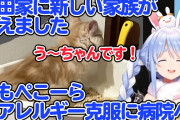 ぺこらも猫飼い始めたんか『ホロメンは猫派多いな』