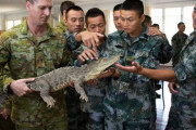 オーストラリア兵2人が海でワニに襲われた事故をめぐり、国防省を訴追…労働衛生安全に関する法律に違反！
