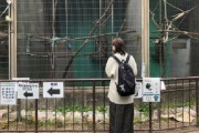 【炎上】動物園「いつもババアばっかなのに初めて若い女が来ました！」ﾊﾟｼｬ
