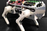 【ニューロロボティクス】ネコ型ロボットを開発し、「反射」で歩く仕組みを解明 阪大