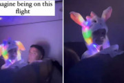 暗い機内でネオンカラーに光る帽子を被る男児、親は叱らず非難殺到