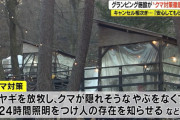 クマのせいでキャンセルが相次ぐキャンプ場、クマが出たら宿泊料金の2倍返金キャンペーン開始！