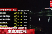 【ヒェ～】警報「津波がくるぞおおおお」津波「やぁ！」(1m) ←これ