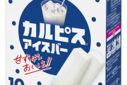 【衝撃】「夏最強のアイス」←で真っ先にイメージしたアイスｗｗｗｗｗｗｗ