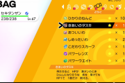 ポケモン剣盾の環境って「弱保」と「タスキ」以外でパーティーに必須な道具ある？