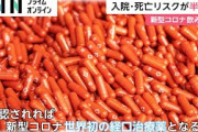 【速報】新型コロナの飲み薬がイギリスで世界初承認！！ これで完全終息なるか