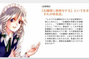【東方】紅魔館って長期休暇とかなさそうだよね