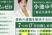 公約守らないやつが当選して再選もする都知事選ｗｗｗｗｗ