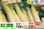 【飲食】レタスや白菜、平年の半値に　野菜価格の下落止まらず…コロナ禍で飲食店の需要が落ち込む