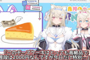 【悲報】ホロライブ海外Vtuber「日本に行ったら詐欺に遭いお金を騙し取られました。」