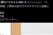 【悲報】オタク「小野田大臣はコスプレも創作もしてたオタクの味方！小野田大臣を嫌うオタクは皆無」