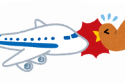 飛行機のエンジンに鳥が入り込むバードストライクしない方法を考えたｗｗｗｗｗｗｗｗｗｗｗｗ