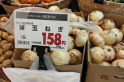 中国産タマネギを日本産といつわり販売  [5/10]
