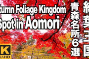青森の紅葉名所6選を紹介する参考動画　奥入瀬渓流や十和田湖の秋景色に海外視聴者も注目