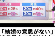 【悲報】若者「恋人できたことない20代？そんな人いないよね？マスコミは嘘ばっかり！」