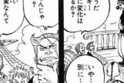 『ワンピース』の悪魔の実の存在が周知されてない設定