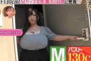 【画像】Mカップ女性、大きすぎる胸で生活に支障が出る…