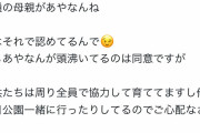 【悲報】東海オンエアさん、あやなんの逆転勝利で終わる