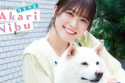 日向坂46丹生明里、柴犬と撮影で「幸せスマイルがさく裂しました～！」　『チャンピオン』表紙＆巻頭グラビアに登場