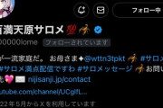 【にじさんじ】剣持「気まずい誤フォローやめろ」　サロメ「──さよ、なら。」