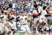 【悲報】なでしこのワールドカップ視聴率、甲子園に負ける
