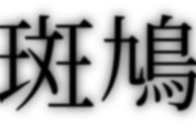 斑鳩　←何で読み方覚えた？？