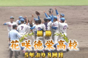 花咲徳栄が激闘を制し５年ぶり夏の甲子園へ！