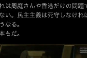 パ「周庭さんが後ろ手錠で連行。民主主義が破壊。民主主義は死守しなければこうなる。日本もだ」 |  テメェの飼い主の国がやってる事だろうがボケが