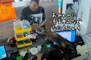 「おみゃーに売るもんはニャイ！」客を選ぶ猫店員、レジに来た顧客を猫パンチ