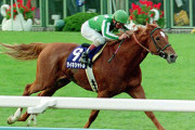 【追悼】ＧI５勝タイキシャトル～稀代の名マイラー