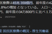医療費が45兆359億円ってヤバ過ぎるだろ