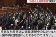 【速報】ウイグル人権決議を衆議院で採択　公明党の意向を受け「非難」という文言は削られ、「人権侵害」は「人権状況」に書き換え