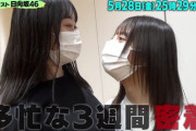 【日向坂46】未来虹ちゃんにマウントを取られるおひさま達ｗｗｗｗｗｗｗｗｗ