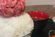 【画像】食える派と食えない派が真っ二つに分かれる牛丼がこちらｗｗｗｗｗｗｗｗ