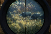 『The Hunter』っていうガチの狩りゲー知ってる人いる？