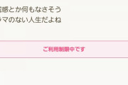 【画像】ワイ、ママ友コミュニティを荒らしまくったせいで書き込み規制されてしまう…