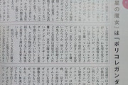 テコンダー朴作者「水星の魔女はポリコレガンダムなのか？」