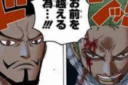 【ワンピース】もう「ゾロ」ってミホーク超えてるんじゃないか？？？