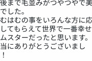 【訃報】野田クリスタルの『はむはむ』、亡くなる