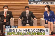 政府さん「ガソリン補助上限を１リットル３５円に増額するよ～、減税だけは絶対にしない！絶対にだ！」