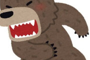【悲報】クマによる日本侵攻が止まらない
