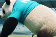 中国人「日本のサッカー高校選抜のシュート練習が恐ろしい」　中国人「とんでもない差」「中国は幼稚園の遊び」