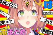 Vtuber 【本間ひまわり】自分で自分の「アホまとめ」なんて切り抜き作って上げてるの、虚無というかちょっと寒いよなｗｗｗ