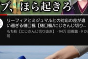 【にじさんじ】樋口のアルセウスは一匹にやたら厳しくするノリが伸びてたけどやたらリアルにありそうで結構キツかった記憶がある